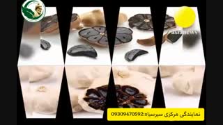 سیر سیاه برای اولین بار در ایران