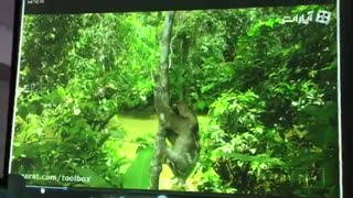 ویدئو پروژکتور استوک هیتاچی مدل hitachi cp x251