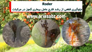 سم قارچ کش Roder برای ریشه کنی بیماری های قارچی مرکبات