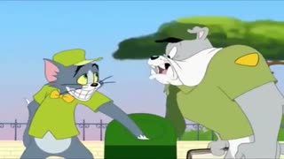 کارتون تام و جری