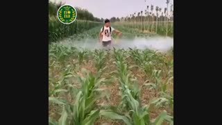 تو محدودیت ها ستاره شوید