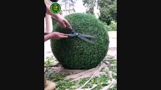 طراحی و اجرای فضای سبز