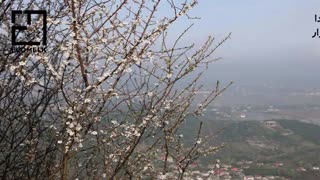 معرفی کامل شهر واجارگاه