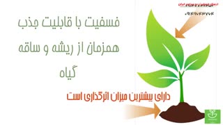 فسفیت سم قوی کشنده باکتری و قارچ های عامل بیماری های نباتی