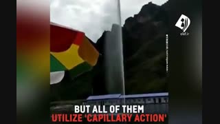 آبنمای صوتی