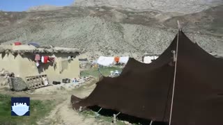 ایلی که طولانی‌ترین مسیر کوچ جهان را طی می‌کند