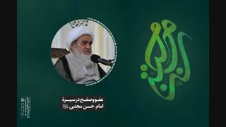 عفو و صفح در سیرۀ امام حسن مجتبی«سلام‌الله‌علیه»(آیت الله العظمی مظاهری)