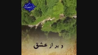شکر گزاری