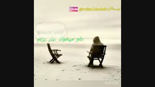 همینجوری الکی