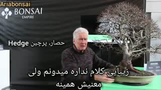 bonsai-naturalistic-استاد والترپال-سبک طبیعی بونسای- قسمت اول با ترجمه