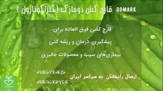 قارچ کش دومارک | domark درمان و پیشگیری از سفیدک سطحی