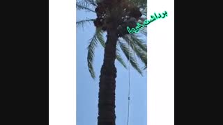 رزرو بومگردی در بم