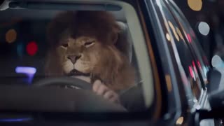 تاثیر خوشبو کننده های داخل خودرو برای رفع خستگی و افزایش فعالیت ذهن