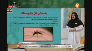 علوم تجربی ششم ابتدایی_فصل سیزدهم_سالم بمانیم