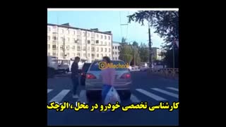 کارشناسی تخصصی خودرو در محل : << الوچک >>