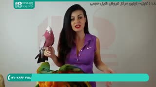 معرفی مواد غذایی که نباید به طوطی ها بدهیم