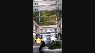 مستر مهاجرت - آشنایی با مسترمهاجرت و گزارش او از کشور نیوزیلند