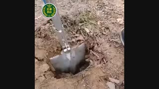 خلاقیت در کشاورزی