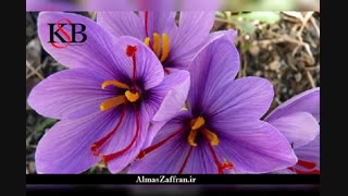 قیمت فروش زعفران کیلویی  امسالی چند است؟