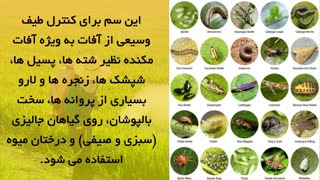 دفع انواع آفات در نباتات با حشره کش استامیپراید | Acetamipride