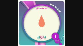 هفته اول بارداری