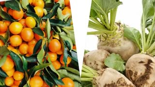 کنه کش خارجی نئورون، درمانگر مزارع کنه زده | Neoron