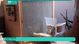 قارچ دکمه ای | مواد لارم ساخت کود برای پرورش قارچ