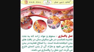فواید و مزایای خام گیاه خواری