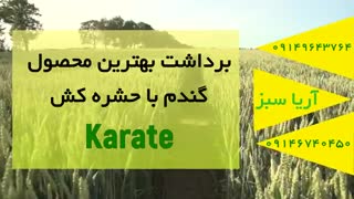 حشره کش کاراته، سم قوی برای دفع سن از گندم | Karate