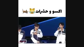 اکسو و حشرات