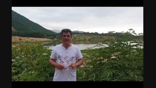 دکترعلی شاه حسینی _ کسب و کار _ شریک