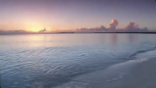 خواهشمندم بیاین کپشن ضرری نداره