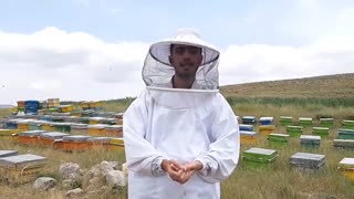 رس بستن عسل