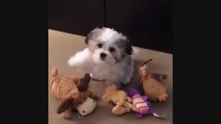 Who is your best friend?
