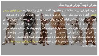 تربیت سگ | نکات مهمی که مربی باید در تربیت سگ به آن توجه نماید