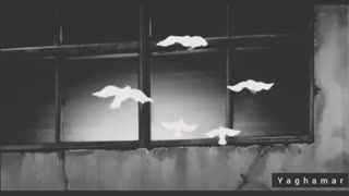 My tears ricochet(اشک های من)