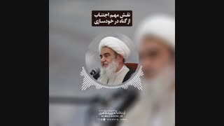 نقش مهم اجتناب از گناه در خودسازی(آیت الله العظمی مظاهری)