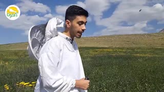 عسل طبیعی باید غلیظ باشد یا رقیق؟