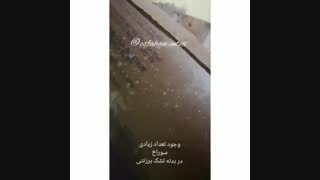 تعمیر تخت بادی برزنتی