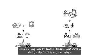 کره گیاهی چگونه تولید می شود