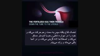 در مورد حاملگى خارج از رحم چه می دانید؟؟؟