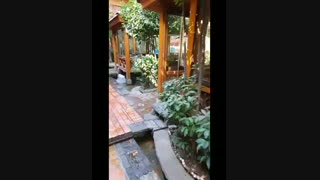 رستوران اسپیو درکه