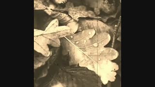 کلیپ دکلمه شعر عاشقانه آرزوهایم کو از مهرشاد علیزاده