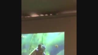 ویدئو پروژکتور استوک اچ پی hp projection