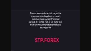 STP FOREX