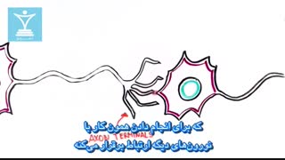 همه چیز در مورد الکترولیت.!li