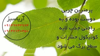 از بین بردن انواع آفات گیاهی با سم پرمترین | Permethrin