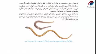 فیلم آموزشی فصل 11