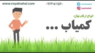 فروش ارقام تجاری انواع نهال میوه در رویال نهال ۰۹۱۴۱۸۱۱۵۲۰