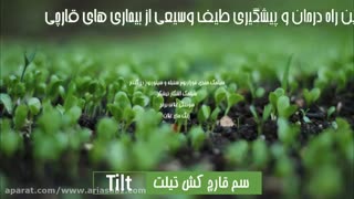 پیشگیری از بیماری های انواع محصولات زراعی، با سم قارچ کش تیلت | tilt